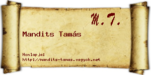 Mandits Tamás névjegykártya